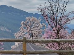 -九皇山景区