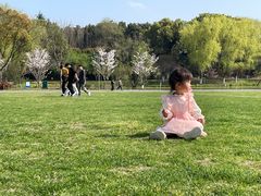 -昆山城市生态森林公园