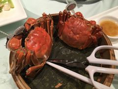 -富淳饭店(陆家嘴保利广场店)
