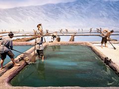 -河东池盐文化博览园