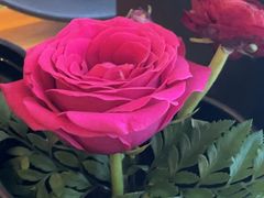 -喜湘宴·精致湖南菜(和平西桥店)