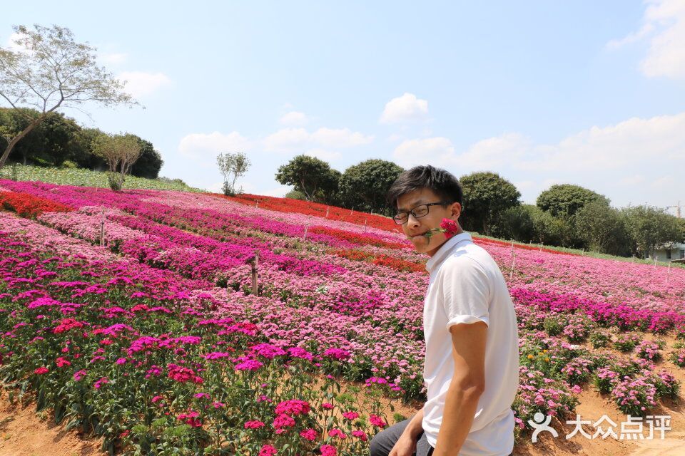 松山湖南湖湾露营营地图片