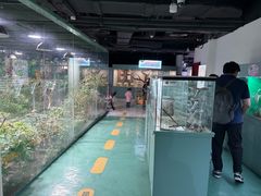 -上海大自然野生昆虫馆(东方明珠·爬宠昆虫探索中心)