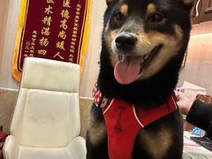 -宠爱国际动物医院·消化内科·心肾内科·ISFM猫友好(望京店)