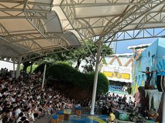 -海合安成都极地海洋公园