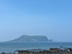 -涉地可支