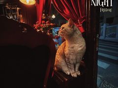 -不舍昼夜咖啡馆