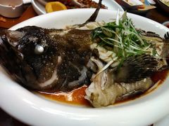 -老江南春·中国龙菜(衡山路店)