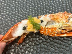 -月龍吟(朝龙汇店)