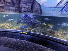 -江和美海洋公园