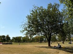 -盘龙城国家考古遗址公园