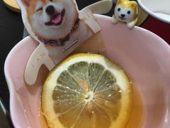 -逗柴咖啡屋·狗咖猫咖宠物桌游