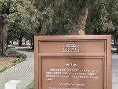 -北京市劳动人民文化宫(太庙)