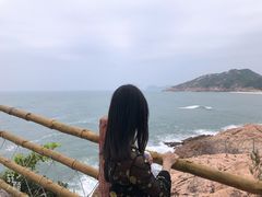 -广东惠东海龟国家级自然保护区