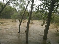 -淇河国家湿地公园