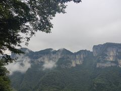 -鹿院坪生态旅游景区