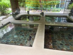 -中家鑫园温泉酒店鑫悦汤泉