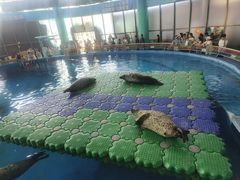 -海合安武汉极地海洋公园