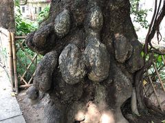 -小洲村