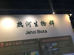 -辽宁古生物博物馆