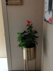-广东韩妃整形外科医院