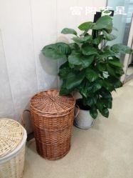 -Yestar杭州艺星医疗美容医院
