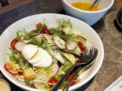 -老板恋上鱼(恒隆广场店)