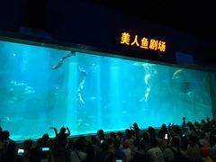 -福州罗源湾海洋世界旅游区