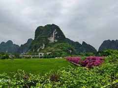 -明仕田园