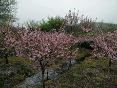 -白马涧龙池景区