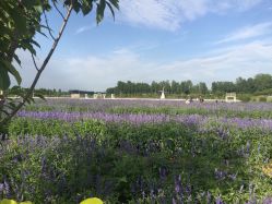 -完美新娘婚纱摄影