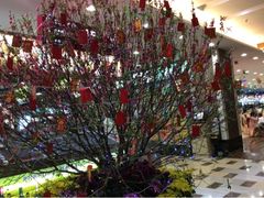 upload_pic-渔民新村(番禺总店)
