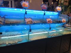 -太湖饭店玉兰厅(自助餐厅)