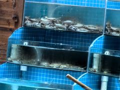 -蓝珊甄选海鲜自助·火锅大排档(近阿那亚店)