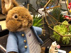 -歎雪糕低糖低脂Gelato冰淇淋