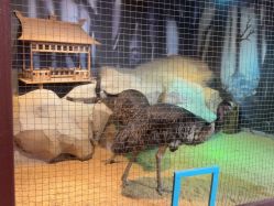 -酷嗒动物文化乐园(cutezoo西溪乐天城店)