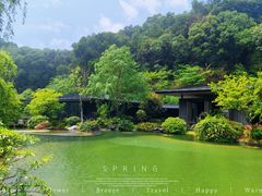 -云溪植物园