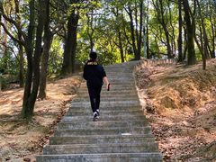 -火炉山森林公园