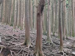 -含鄱口