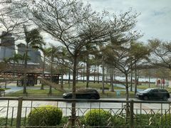 -厦门海沧正元希尔顿逸林酒店開全日餐厅