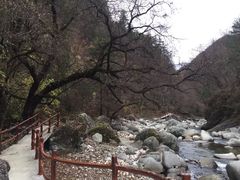 -青峰峡国家森林公园