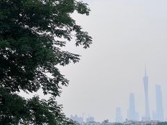 -海珠湖公园