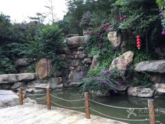 -广州市帽峰山景区