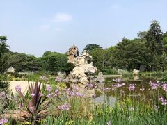 -东莞植物园