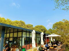 -昆山城市生态森林公园