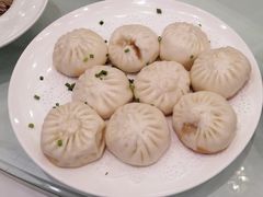 生煎包-新开元大酒店(花雨路店)