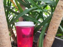 -萃茶师(琅西店)