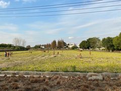 -嘉北郊野公园