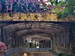-喜运来大酒店温泉