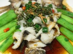 -猪肉婆私房菜(容桂总店)